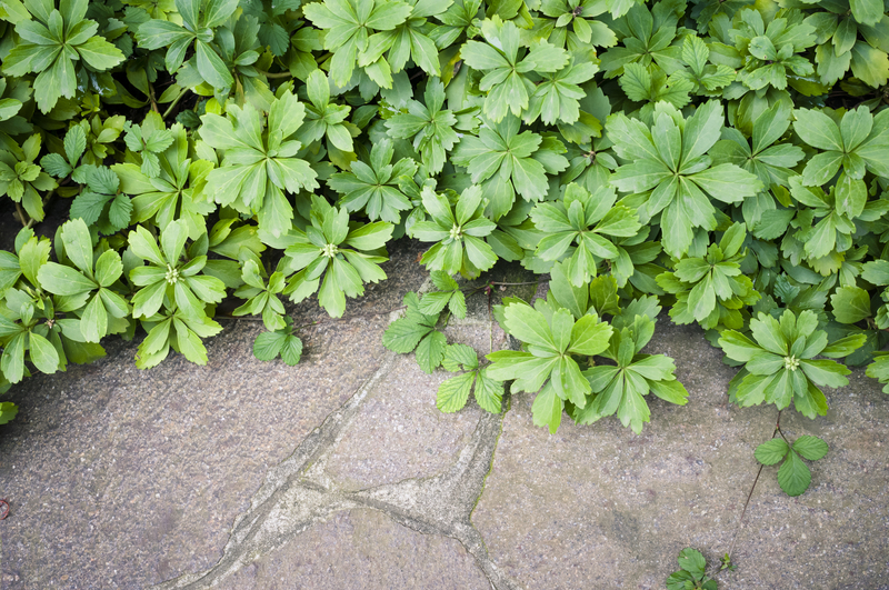 garden property