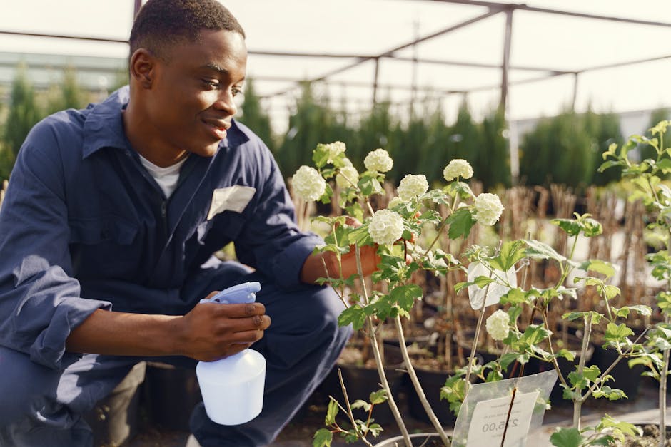 A young man in a navy-blue work uniform crouches in a greenhouse or nursery setting, tending to a potted plant with white, rounded flowers and lush green leaves. He holds a white spray bottle in his r